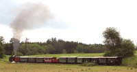 Lok 99 788 bei Wennedach (06.2016)    99788  bei wennedach 526A1104  Lok 99 788 bei Wennedach (06.2016)  --> : Öchsle, Museumsschmalspurbahn, Oberschwaben, Ochsenhausen, Warthausen, Manfred Detzner, Speyer, kurz vor, Wennedach, Strecke, Dampflok, BR 99 788, 99 788, Berta