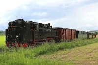 Lok 99 788 kurz vor Erreichen des Scheitelpunkts der Strecke (06.2016)    99788 bei wennedach richtung scheitelpunkt 2 526A1139  Lok 99 788 kurz vor Erreichen des Scheitelpunkts der Strecke (06.2016)  --> : Öchsle, Museumsschmalspurbahn, Oberschwaben, Ochsenhausen, Warthausen, Manfred Detzner, Speyer, zwischen, Reinstetten, Wennedach, Strecke, Scheitelpunkt, Mitte, Dampflok, BR 99 788, 99 788, Berta