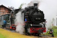 Bahnhof Ochsenhausen - Lok 99 788 "Berta" rangiert (06.2016)    99788 rangiert 526A0923  Bahnhof Ochsenhausen - Lok 99 788 "Berta" rangiert (06.2016)  --> : Öchsle, Museumsschmalspurbahn, Oberschwaben, Ochsenhausen, Warthausen, Manfred Detzner, Speyer, Bahnhof, Bf, Bhf, Empfangsgebäude, Dampflok, BR 99 788, 99 788, Berta