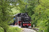 Lok 99 788 zwischen Reinstetten und Wennedach (06.2016)    99788 zwischen reinstetten und wennedach 526A1152  Lok 99 788 zwischen Reinstetten und Wennedach (06.2016)  --> : Öchsle, Museumsschmalspurbahn, Oberschwaben, Ochsenhausen, Warthausen, Manfred Detzner, Speyer, zwischen, Reinstetten, Wennedach, Dampflok, BR 99 788, 99 788, Berta