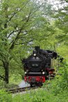 Lok 99 788 zwischen Reinstetten und Wennedach (06.2016)    99788 zwischen reinstetten und wennedach 526A1156  Lok 99 788 zwischen Reinstetten und Wennedach (06.2016)  --> : Öchsle, Museumsschmalspurbahn, Oberschwaben, Ochsenhausen, Warthausen, Manfred Detzner, Speyer, zwischen, Reinstetten, Wennedach, Dampflok, BR 99 788, 99 788, Berta