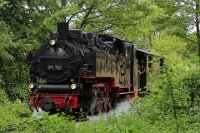 Lok 99 788 zwischen Reinstetten und Wennedach (06.2016)    99788 zwischen reinstetten und wennedach 526A1157  Lok 99 788 zwischen Reinstetten und Wennedach (06.2016)  --> : Öchsle, Museumsschmalspurbahn, Oberschwaben, Ochsenhausen, Warthausen, Manfred Detzner, Speyer, zwischen, Reinstetten, Wennedach, Dampflok, BR 99 788, 99 788, Berta