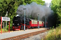 Friedrichshöhe: BR 99 7232-4 durchfährt den Haltepunkt in Richtung Albrechtshaus - Stiege (2018-08-21)    526A3174  Friedrichshöhe: BR 99 7232-4 durchfährt den Haltepunkt in Richtung Albrechtshaus - Stiege (2018-08-21)  -->