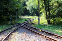 Silberhütte: Gleisentwicklung in Blickrichtung rechts nach Stiege, in Blickrichtung links Gleisanschluss des ehemaligen Kohleheizwerks  (2018-08-22)    526A3224  Silberhütte: Gleisentwicklung in Blickrichtung rechts nach Stiege, in Blickrichtung links Gleisanschluss des ehemaligen Kohleheizwerks  (2018-08-22)  -->