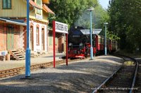 Strassberg (Harz): BR 99 7232-4 vom HP Glasebach kommend Einfahrt Richtung Stiege/Hasselfelde (2018-08-23)    526A3301  Strassberg (Harz): BR 99 7232-4 vom HP Glasebach kommend Einfahrt Richtung Stiege/Hasselfelde (2018-08-23)  -->