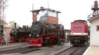 Werngierode: BR 99 5902 - BR 99 7234-0 - BR 199 861-6 (2005)    Werngierode-BW-01  Werngierode: BR 99 5902 - BR 99 7234-0 - BR 199 861-6 (2005)  --> : Harzer Schmalspurbahnen, HSB, Manfred Detzner, Speyer, Bahnhof, Empfangsgebäude, Bhf, Bf, Wernigerode, BW, Bahnbetriebswerk, Dampflok, BR 99 5902, 99 5902, Mallet, BR 99 7234-0, 99 7234-0, Diesellokomotive, BR 199 861-6, 199 861-6, Harzkamel