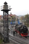 Wernigerode: BR 99 7239-9 (2009)    wernigerode-br997239-9-01-DSC 0147  Wernigerode: BR 99 7239-9 (2009)  --> : Harzer Schmalspurbahnen, HSB, Manfred Detzner, Speyer, Bahnhof, Empfangsgebäude, Bhf, Bf, Wernigerode, BW, Bahnbetriebswerk, Dampflok, BR 99 7239-9, 99 7239-9